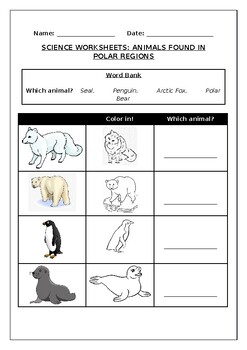Science worksheets: Animals found in polar regions by Science Workshop