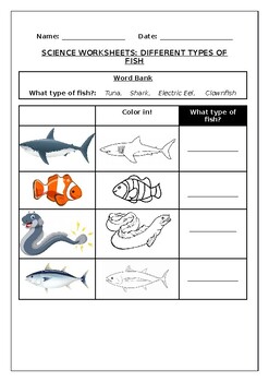 different types of fishes