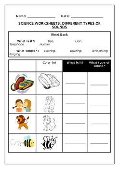 Science worksheets: Different types of sounds by Science Workshop