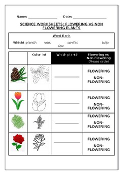 Preview of Science worksheets: Flowering vs Non Flowering Plants