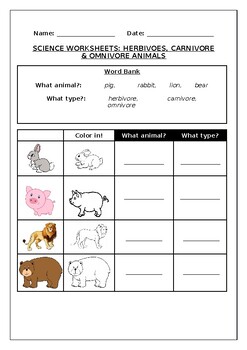 Identify Animals Carnivore Teaching Resources | TPT