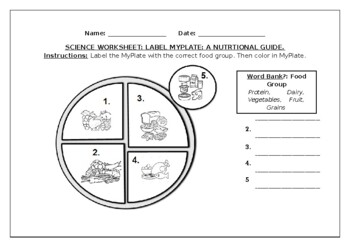 Preview of Science worksheets: Label MyPlate with the Food Groups