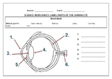 Science worksheets: Label parts of a human eye