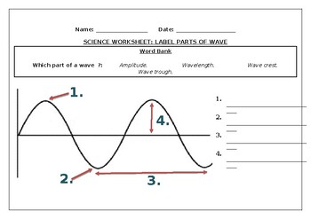 Preview of Science worksheets: Label parts of a wave