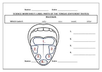 Preview of Science worksheets: Label parts of the tongue (Different tastes)