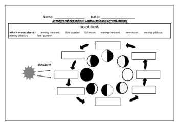 Preview of Science worksheets: Label phases of the moon