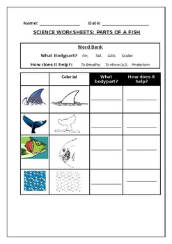 Preview of Science worksheets: Parts of a fish