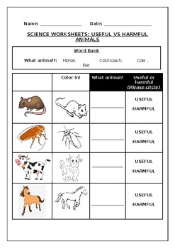 Science worksheets: Useful vs Harmful animals by Science Workshop