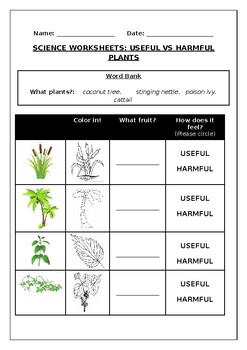 plants worksheets k5 learning - what do plants need worksheet education
