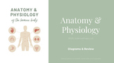 SciencePops' Anatomy & Physiology of the Human Body - GOOG