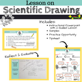 Scientific Drawing Lesson Plan