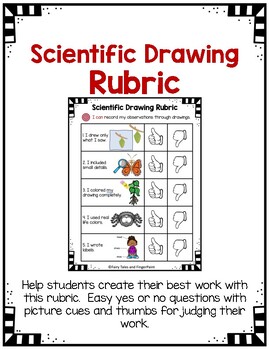 Preview of Scientific Drawing Rubric for Young Students