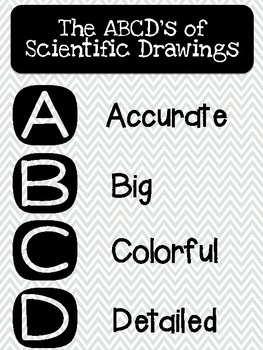 Preview of Scientific Drawings ABCD Poster