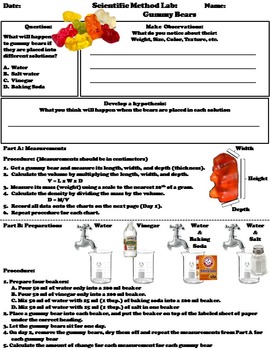 Scientific Method Activity (Gummy Bears Science Experiment) by Science Spot