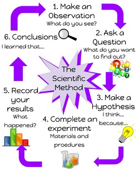 Educational Resource Bulletin Board Scientific Method Anchor Chart Posters 