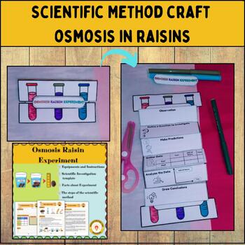 Preview of Scientific Method Craft (2)