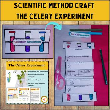Preview of Scientific Method Craft(4)