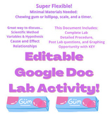 Scientific Method Gum Lab - EDITABLE - Low Prep - with KEY!