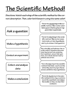 Scientific Method Matching Worksheet by Creative Curtsies | TpT