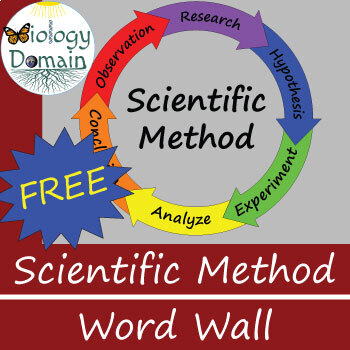 Preview of Scientific Method Word Wall Vocabulary Cards FREE!