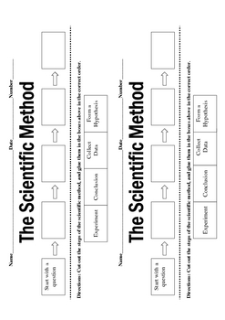 Scientific Method Vocabulary Test by More Than a Worksheet | TpT