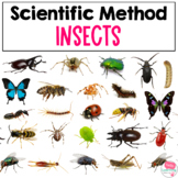 Scientific Method Activity | Insects