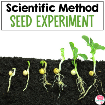Preview of Scientific Method Activity | Planting Seeds Science Experiment