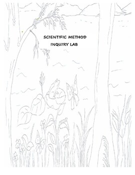 Preview of Scientific Method ( interactive approach)