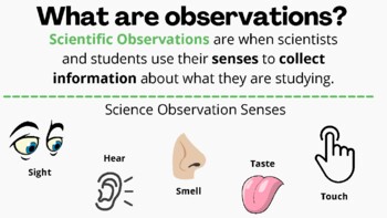 Preview of Scientific Observations Poster / Vocabulary