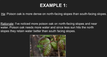 Preview of Scientific Questioning & Making Hypotheses: High School Biology & Ecology Slides