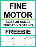 Scissor Skills, Cutting Practice and Threading Fine Motor 