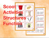 Scoot Activity: Structures Function