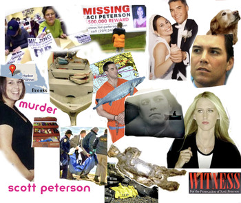 Preview of Scott Peterson & Murder of Pregnant Wife Laci - FREE POSTER