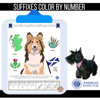 Preview of Scottish Heritage- Suffix Color By Number