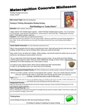 Scripted Metacognition Full Mini lesson Plan