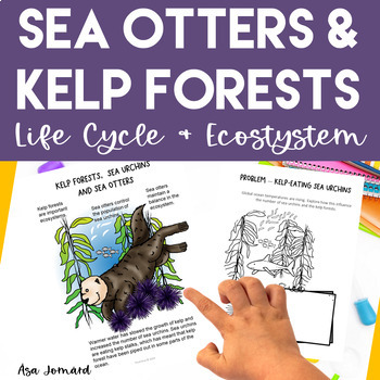 Preview of Sea Otters | Kelp Forest | Sea Urchin | Ecosystem Design Activities | Nonfiction
