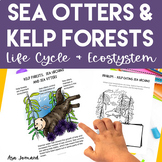 Sea Otters | Kelp Forest | Sea Urchin | Ecosystem Design A