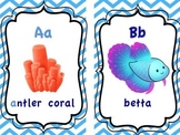 Sea Animal Alphabet Flashcards (5x7")