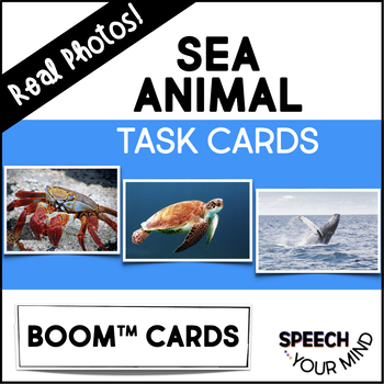Preview of Sea Animals Boom™ Cards Real Photos | Marine | Ocean Animals