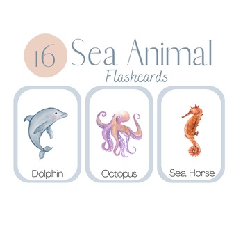 Preview of Sea Animal Flashcards (16 total)