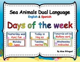 Sea Animals Dual Language Days of the Week in English & Spanish