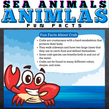 Preview of Sea Animals FACTS - Google Slides™ Included
