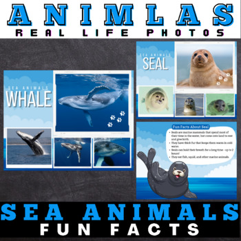 Preview of Sea Animals : Facts with Real Life Photos - Google Slides™ Included