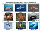 Sea Animals Matching and Keyboarding Practice