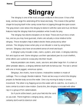 Preview of Sea Animals Nonfiction Reading Comprehension Passage 1: Stingray