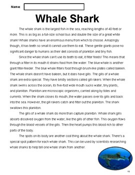 Preview of Sea Animals Nonfiction Reading Comprehension Passage 3: Whale Shark