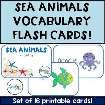 Sotto il mare 16 ANIMALI MARINI/creature-Flash card 