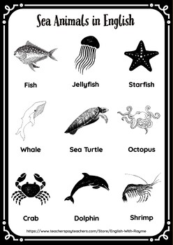 Sea Animals in English by English with RayMe | TPT