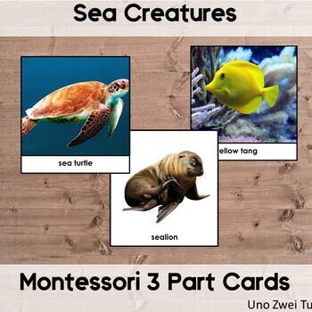 Ocean Three Part Cards Teaching Resources | Teachers Pay Teachers