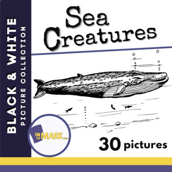 Preview of Sea Creatures Black & White Picture Collection Grades 1-8